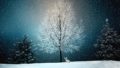 Stille Nacht – Ein leiser Weihnachtsabend voller Poesie